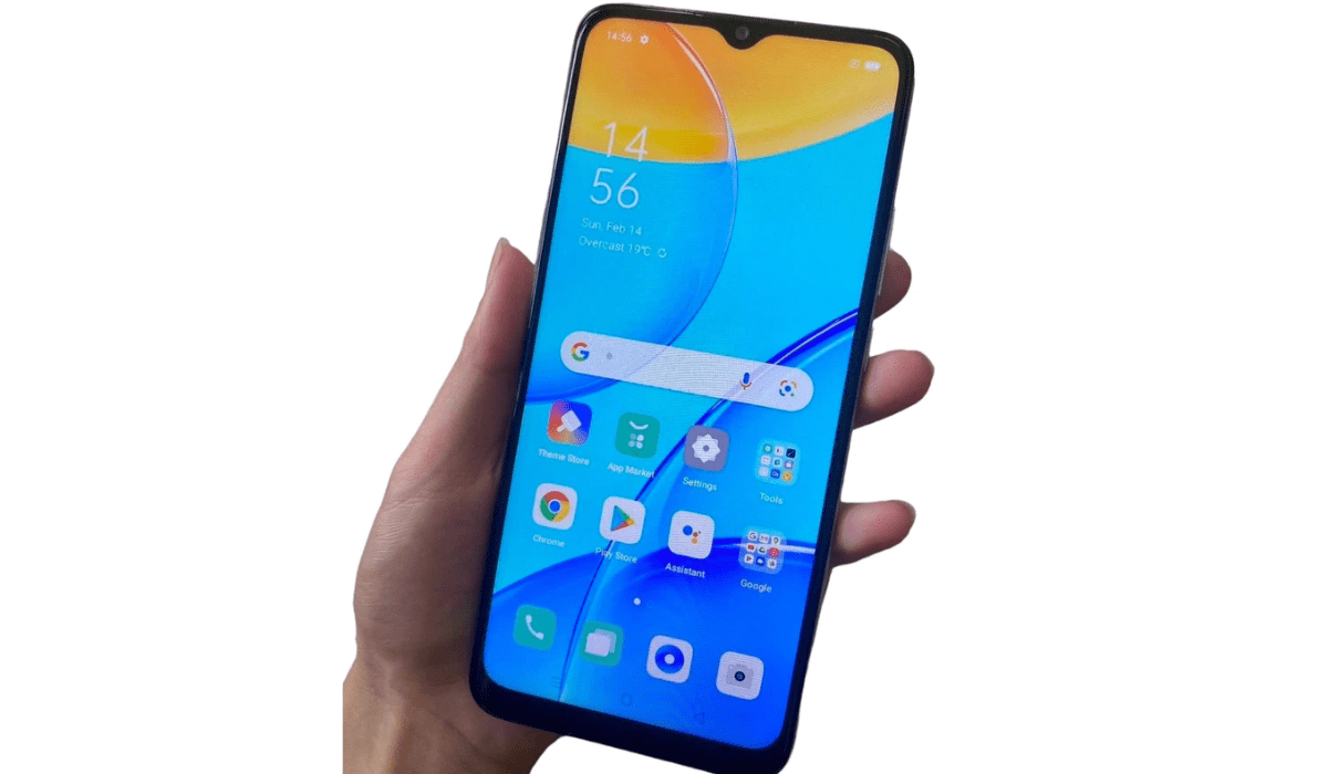 Oppo A51 Price in India